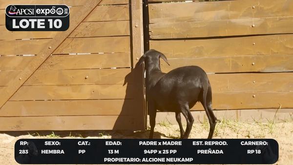 Lote LOTE 10 - CAMPO
