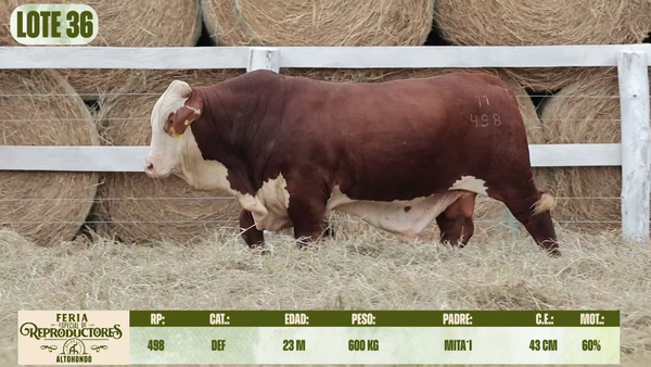 Lote LOTE 36