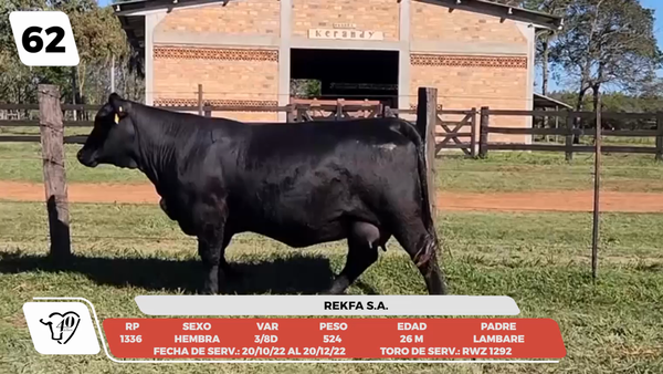 Lote LOTE 62-DE CAMPO