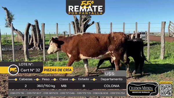 Lote 2 Piezas de cría en Las Víboras, Colonia