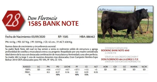 Lote TORO