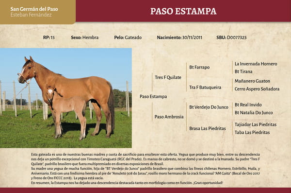 Lote Paso Estampa (RP 15) - Cabaña San Germán del Paso