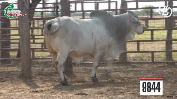 Lote Brahman