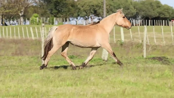 Lote Genoveva 390