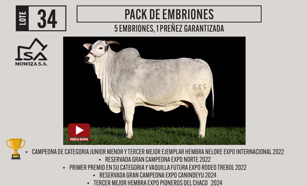Lote LOTE 34