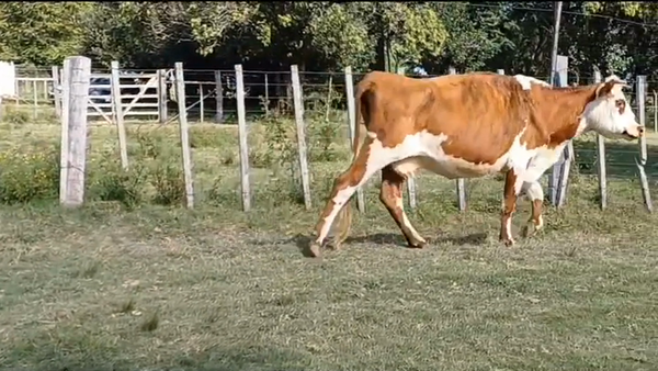 Lote Industria 400kg -  en LA SIERRA