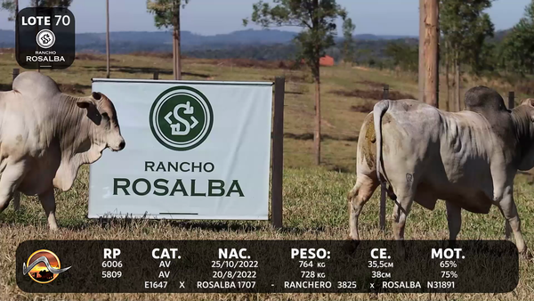 Lote LOTE 70