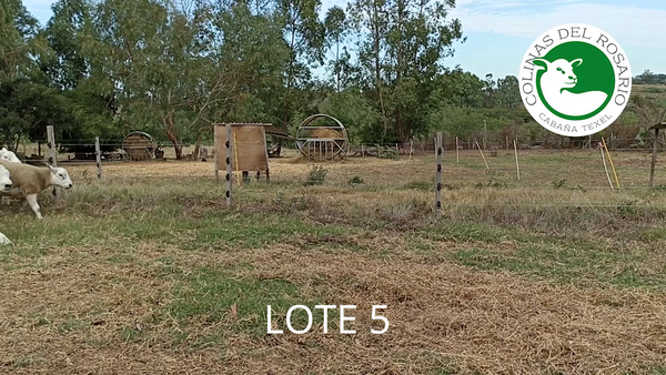 Lote Lote 5 - Colinas del Rosario
