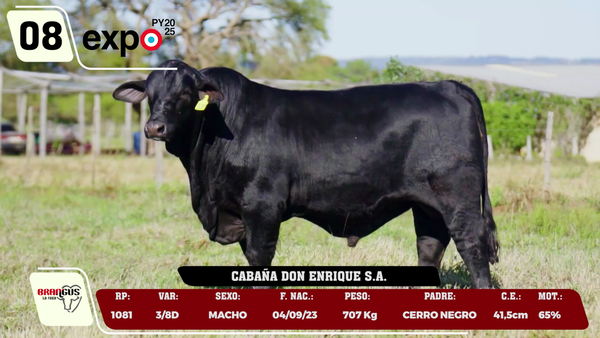 Lote LOTE 8