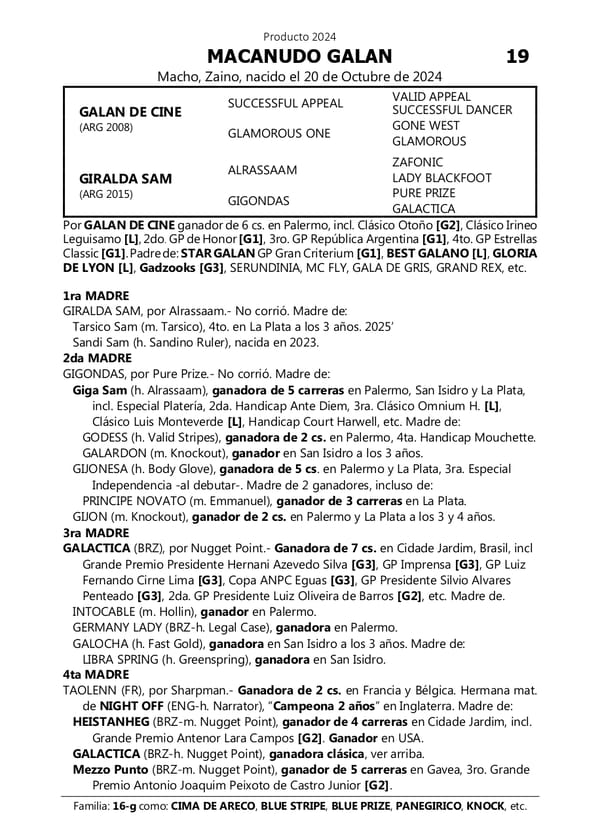 Lote MACANUDO GALAN (GALAN DE CINE -  GIRALDA SAM)