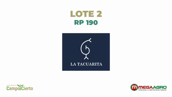 Lote LA TACUARITA