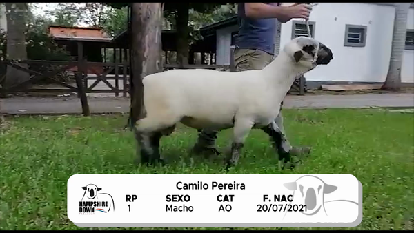 Lote LOTE 21 BOZAL - RP 1