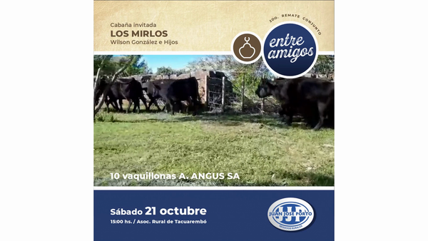 Lote "Cabaña ""Los Mirlos"""