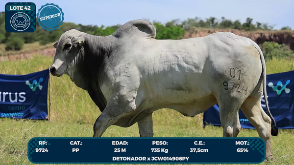 Lote LOTE 42