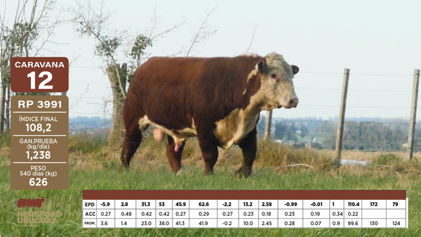 Lote Caravana 12 "María Sofía Saenz de Brum e hijo"