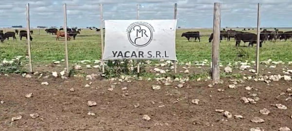 Lote M Y H- Olavarría Bs As