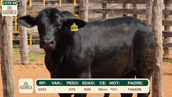 Lote LOTE 68