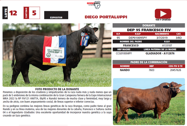 Lote LOTE 12