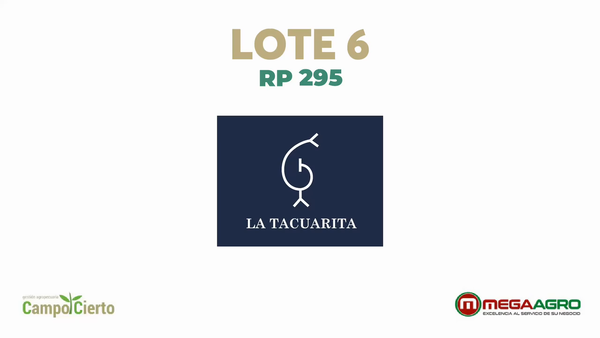Lote LA TACUARITA