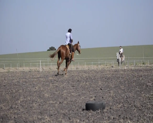 Lote Tiago Las Nenas