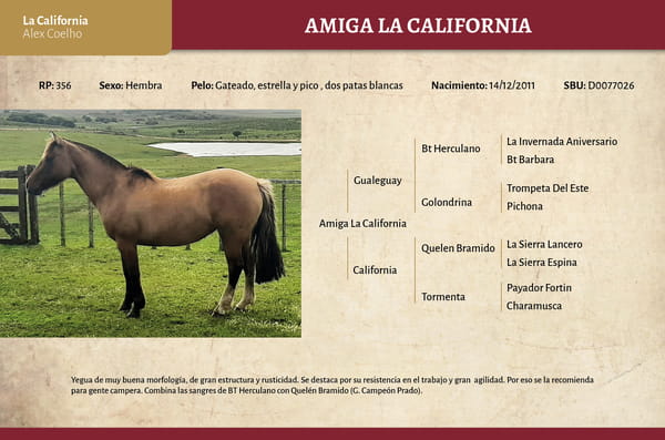 Lote Amiga La California (RP 356) - Cabaña La California