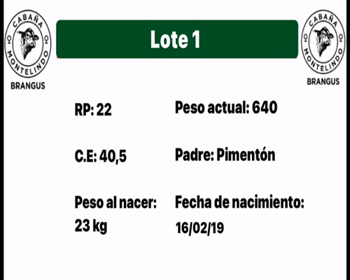 Lote MONTELINDO 22