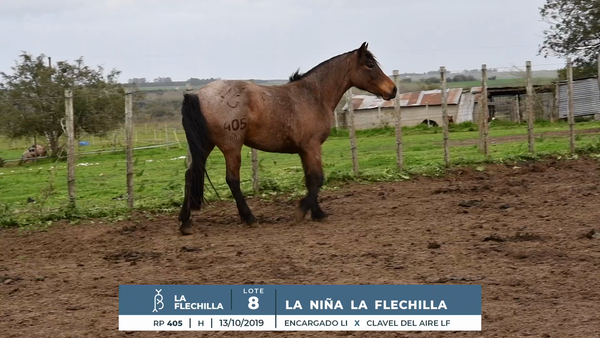 Lote LA NIÑA LA FLECHILLA