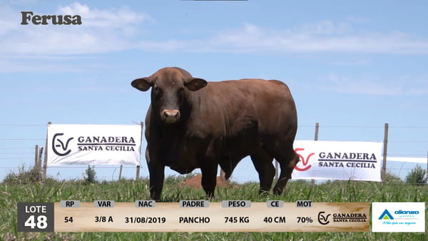 Lote Ganadera Santa Cecilia - Lote 48