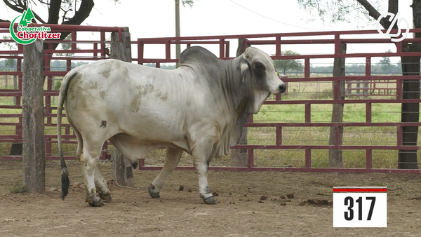Lote Brahman