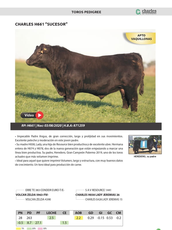Lote TOROS PEDIGREE