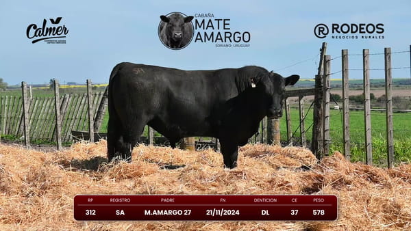 Lote RP 312 SA