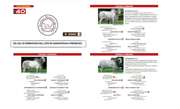 Lote LOTE 40