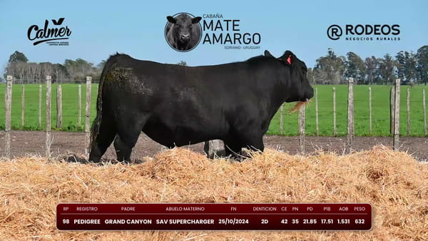 Lote RP 98 PI
