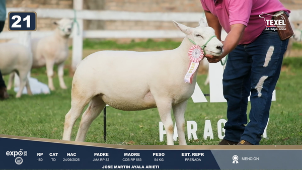 Lote LOTE 21