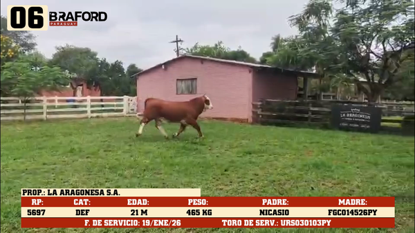 Lote LOTE 6
