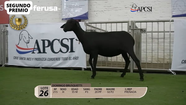 Lote Nacional Santa Inés Campo - Lote 26