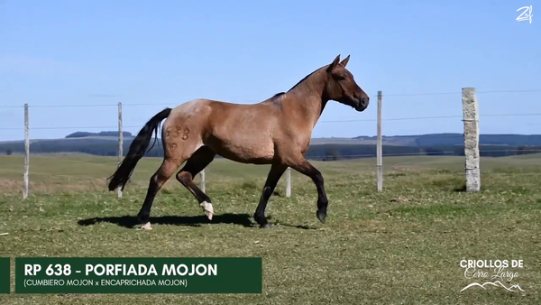 Lote PORFIADA MOJON