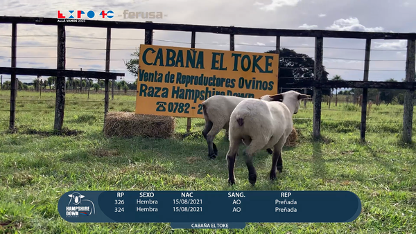 Lote LOTE 32 - CAMPO