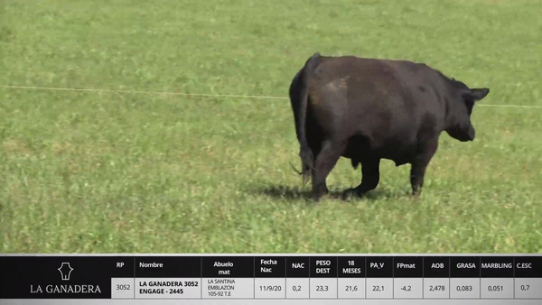 Lote LA GANADERA 3052 ENGAGE - 2445