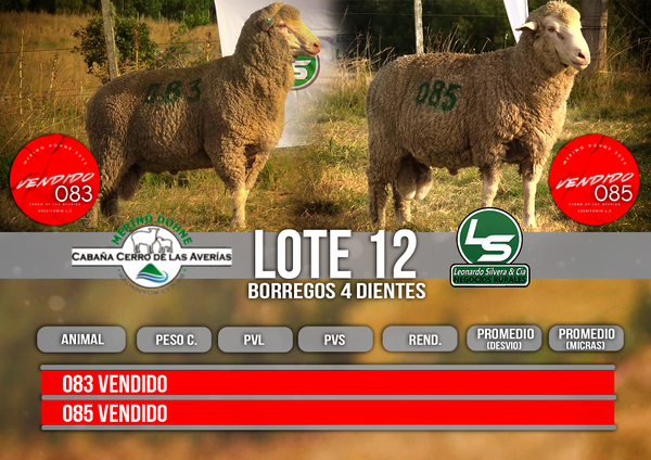 Lote LOTE 12