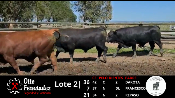 Lote LOTE 2 EL PALENQUE