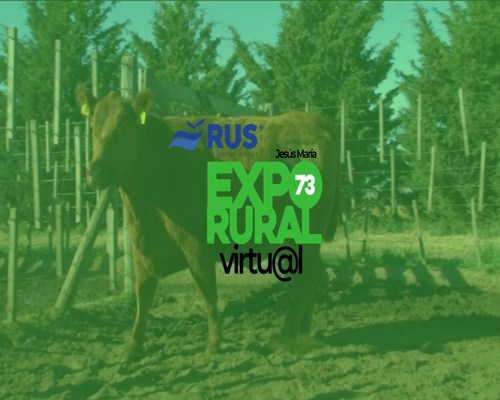 Lote NO SALE A LA VENTA