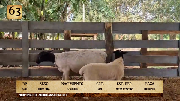 Lote LOTE 63