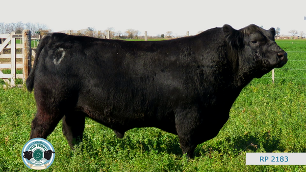 Lote CABAÑA DON PEDRO