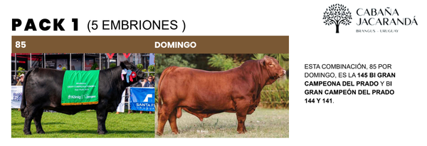 Lote PACK 1 (5 EMBRIONES)