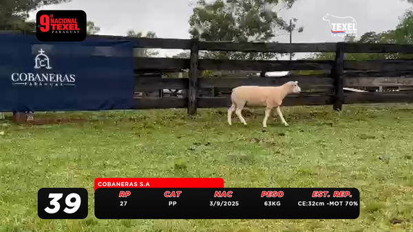 Lote LOTE 39