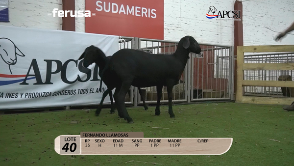 Lote Nacional Santa Inés Campo - Lote 40