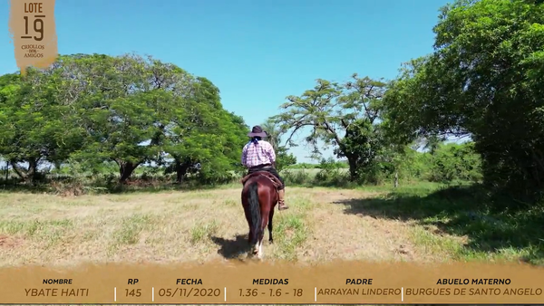 Lote YBATE HAITI