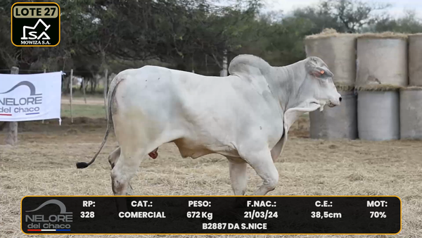 Lote LOTE 27