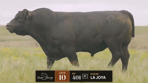 Lote LOTE 10 · TORO PC · RP 1414, 401, 440